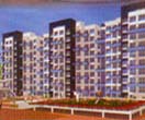 Pinnacle, Tadiwala Rd
